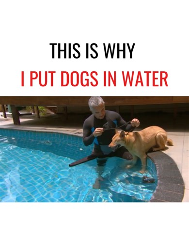 Superando miedos: Duck Duck y su nuevo comienzo