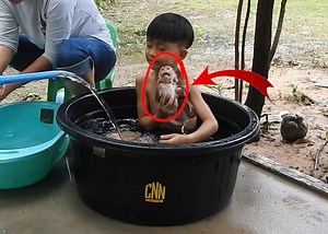 [ Happiness Family ] Today Baby Jody & Alien Very Happy Bcos Her Little Brother come to Take a Shower with, | Monkey Family