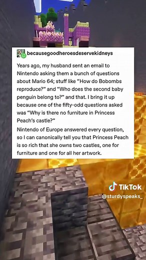 princess peach doesn’t have furniture??