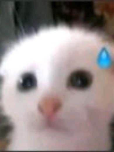 Videos de Eli Zxz (@zxz769) con “sonido original - Drew.Music🪐”