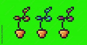 Green screen of plant , plant flower icon bits pixel slowly appeared and dissappeared. Simple animation from pixel dots form sets of plant icon . Usefull for game asset or design asset animate.