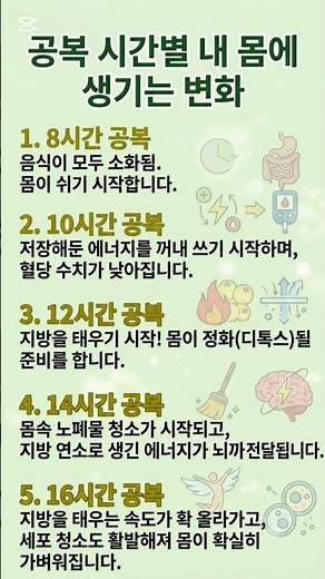공복시간별 내몸에 생기는 변화. ​#간단한단식 #간헐적단식 #공복시간 #다이어트정보 #디톡스 #건강정보 #지방연소