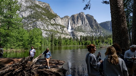 Yosemite National Park closes due to snow, falling trees; what to know