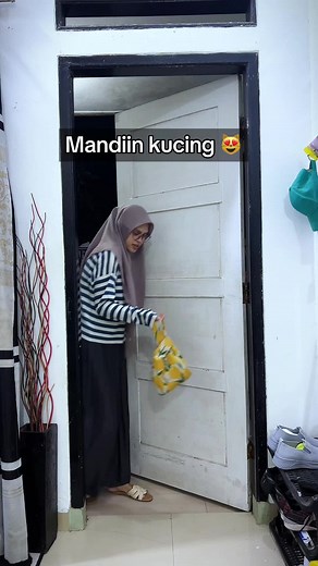 Kumpulan Video Kucing Lucu dan Dramakomedi