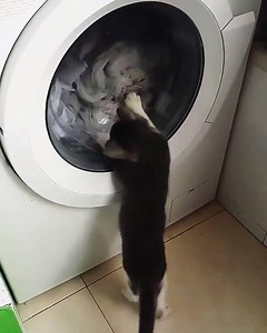 1M views · 11K shares | "MAKE IT STOP!!"  | UNILAD | Facebook