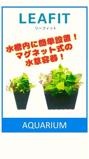 [Magnetic attachment! Aquatic plant pot] The "Leafit" aquatic plant pot can be installed anywhere...