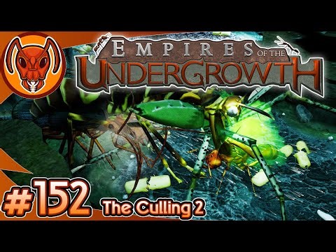 The Culling 2! | Empires of the Undergrowth - Part 152