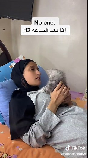 Adorable Kitten Cuddling Moments You Can't Miss