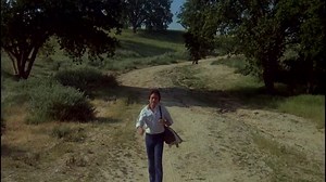 The Incredible Hulk S05E07 A Minor Problem 1080p.mp4