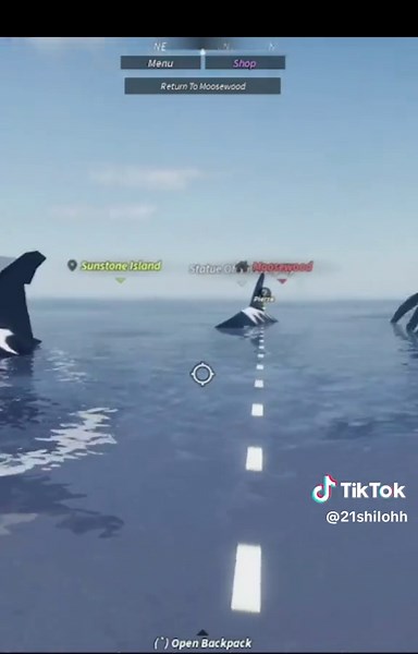 Discover the New Orca Update in Fisch Roblox