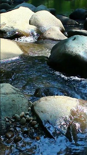 Soothing River Sound 🌊 Melts You Into Deep Sleep #asmr #sleepsounds #river
