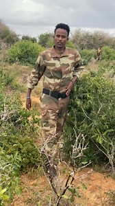 Gimeysii diid | Ciid Cabdi Bile