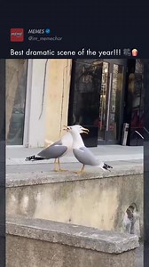 7.7K views · 189 reactions | Best dramatic of the year... | Meme Sarcasm Comedy | Facebook