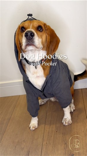 Large Dog Hoodie with Pocket 🐶🧥 | Cozy Sweatshirt for Big Dogs ✨