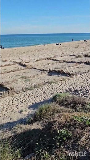 Paisaje invernal del Parque Natural de la Albufera ( Valencia, España) #nature #turismo
