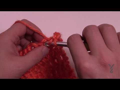 BEGINNER Crochet 2 hdc Cluster St
