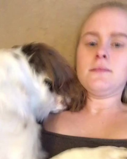 Only my dog that could try humping my face 🤦🏼‍♀️ #spaniel #spanielsoftiktok #xyzbca #fyp