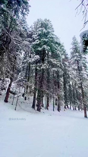 4.9K views · 308 reactions | Snow fall #snowfall #snow #travel #reels #reelsvideo #adventure #Facebook #mountain | Gilgit Baltistan Adventure Treks and Tours Pakistan | Facebook