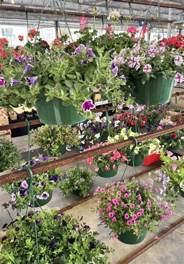 Dallas Farmers Market: A Bright Spot in Gloomy Weather