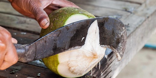 How to cut and drink a fresh coconut