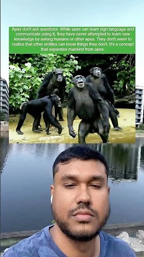 Apes don’t ask questions. While apes can learn sign language and communicate using it