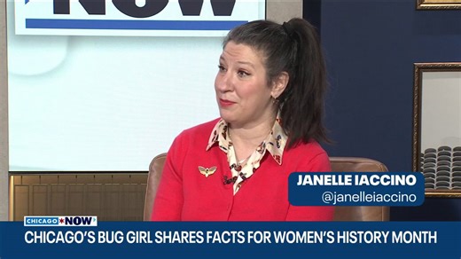Chicago 'Bug Girl' reveals wild facts about female insects | ChicagoNOW