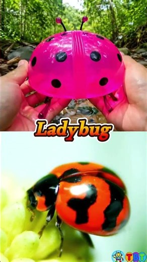 Fun Bug Toys for Kids at the Stream! Butterfly Bee Ladybug Caterpillar 🦋🐝