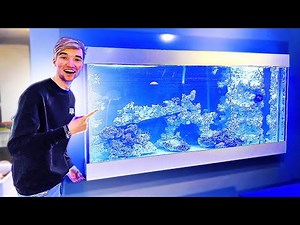 MIJN AQUARIUM MET WATER VULLEN EN EINDELIJK DE VISSEN ERIN!😍🐠