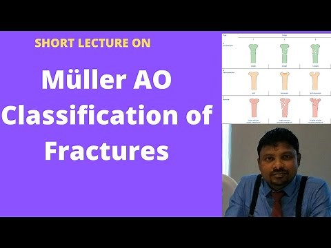 Müller AO Classification of fractures