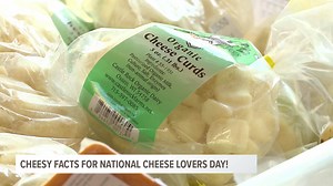 Can you count the cheese puns? I thought this segment was...sharp. | Daniel Sechtin
