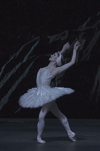 White Swan Ballet Performance Showcase