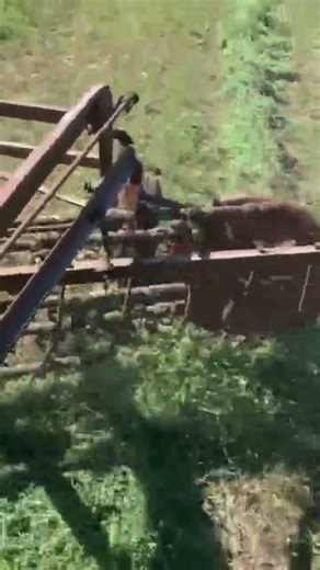 International 5 bar side delivery hay raking