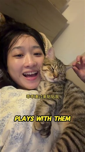 Why Cats Choose One Favorite Person | The Science Behind Feline Favorites