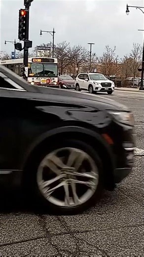 cta bus route 53 #cta #train #busfanning #bus