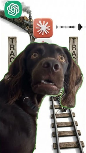 EP-06 (300 Dogs V/S Criminal)