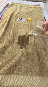 😘 Your touch ignites a fire I never want to put out… 🫦🔥 #CuddlePuddle #Waterproof #PassionUnleashed #LoveOnFire #Irresistible #cuddle #madeforcouples #blanket #dry #love | Cuddle Puddle