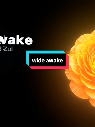 Exploring the Meaning Behind 'Wide Awake'