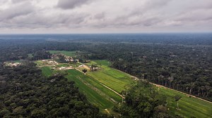 Menonitas en Perú: la historia oculta de la entrega de bosques en Masisea