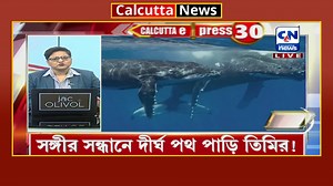 4.7M views · 71K reactions | সঙ্গীর সন্ধানে ১৩ হাজার কিলোমিটার পার।...