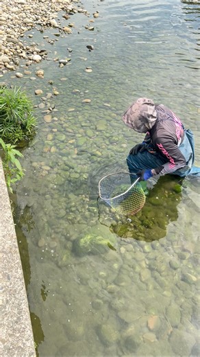 Big Fish Caught by Surprise #Amazing #highlightseveryone | KaFuji Master