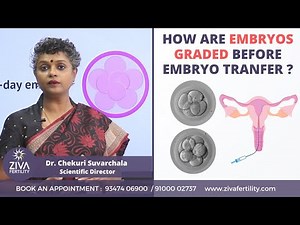 Embryo Grading || IVF Procedure Step By Step || Dr C Suvarchalaa || ZIVA Fertilityy