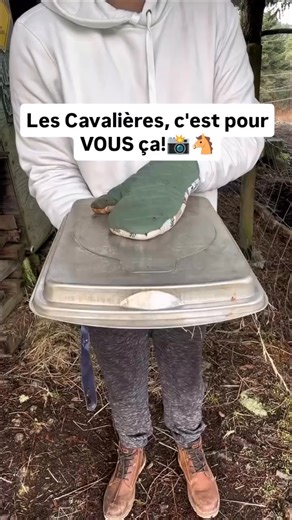 GoVision Équation on Reels