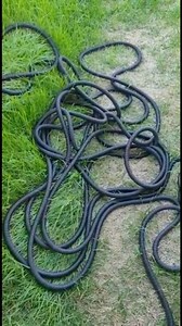 Snake hose #batang90s | Batang90’s
