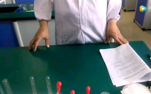 中考化学实验演示—酸碱的化学性质