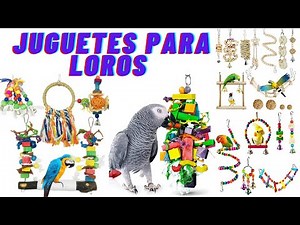 Parrot toys. Nymphs, Agapornis. The importance of toys for parrots