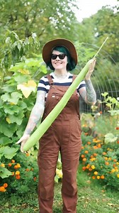 21K views · 506 reactions | A little bit of random saved gourd seed fun! ✨ Already looking forward to trying to grow one longer next year. | The Dainty Squid | Facebook