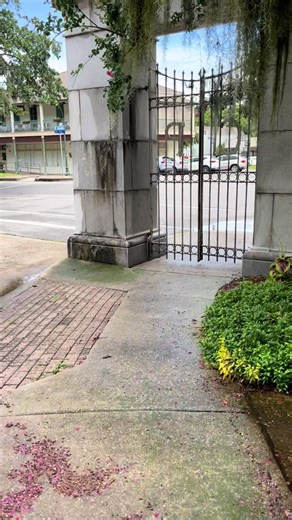 Hey y’all, it’s mystery Monday here installing Nola and today’s story come straight from the heart of the Crescent city. Can you guess where I am strolling#Neworleans ##Nola##TikTokNola##TravelNola##FYP