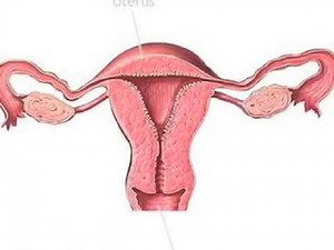 Youtube Poop Blue's Clues Steve has gone insane