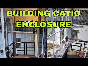 Building a Catio for my cats | CATSLIFEPH [Timelapse]