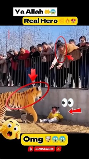 MashAllah 💪❤️🕋 Respect. #allah #Masmediainfo #shorts #status #short #respect